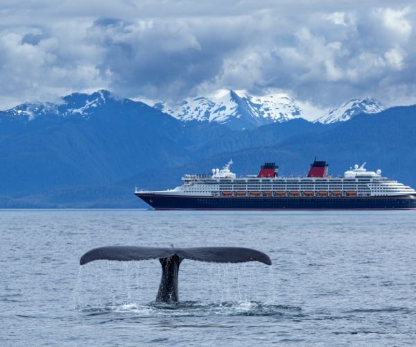 I Took An Alaska Cruise And These Were The 6 Mistakes First-Timers Were Making