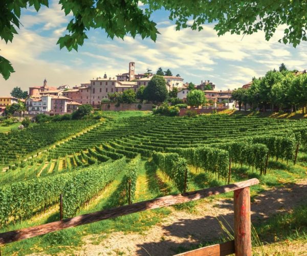 Explore Italy’s Most Delicious Regions On This New Train Route 